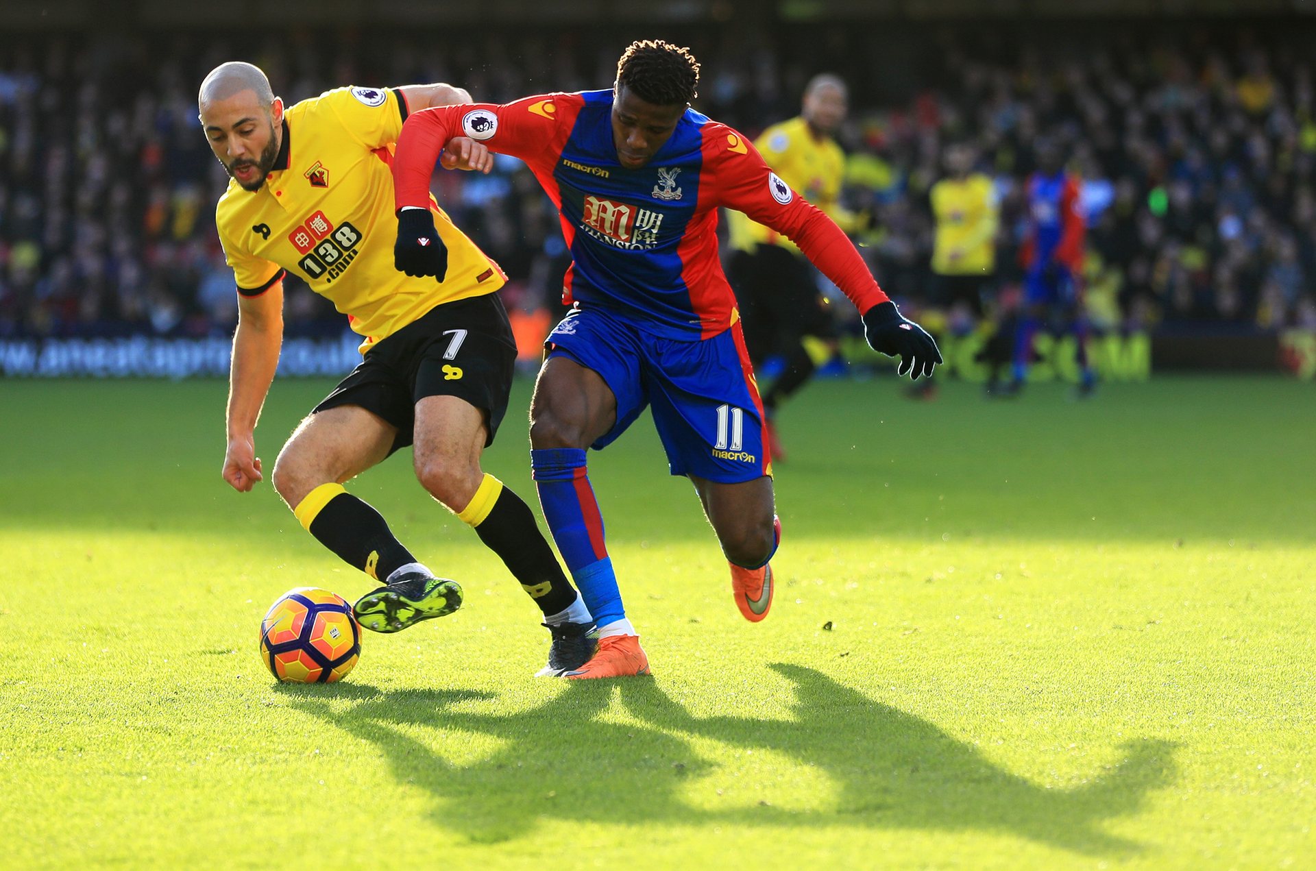 深圳新鹏城 深圳新鹏城