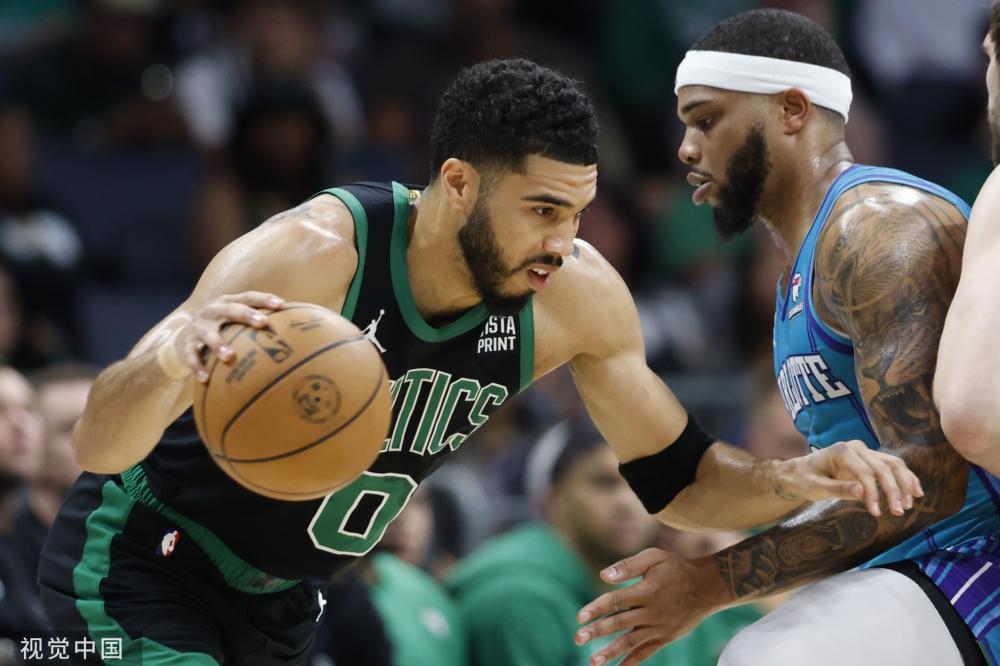 他教练履历 他教练履历